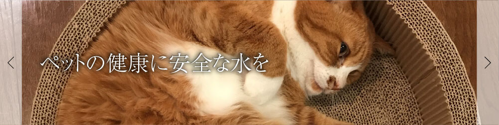 ペットの健康に安全な水を